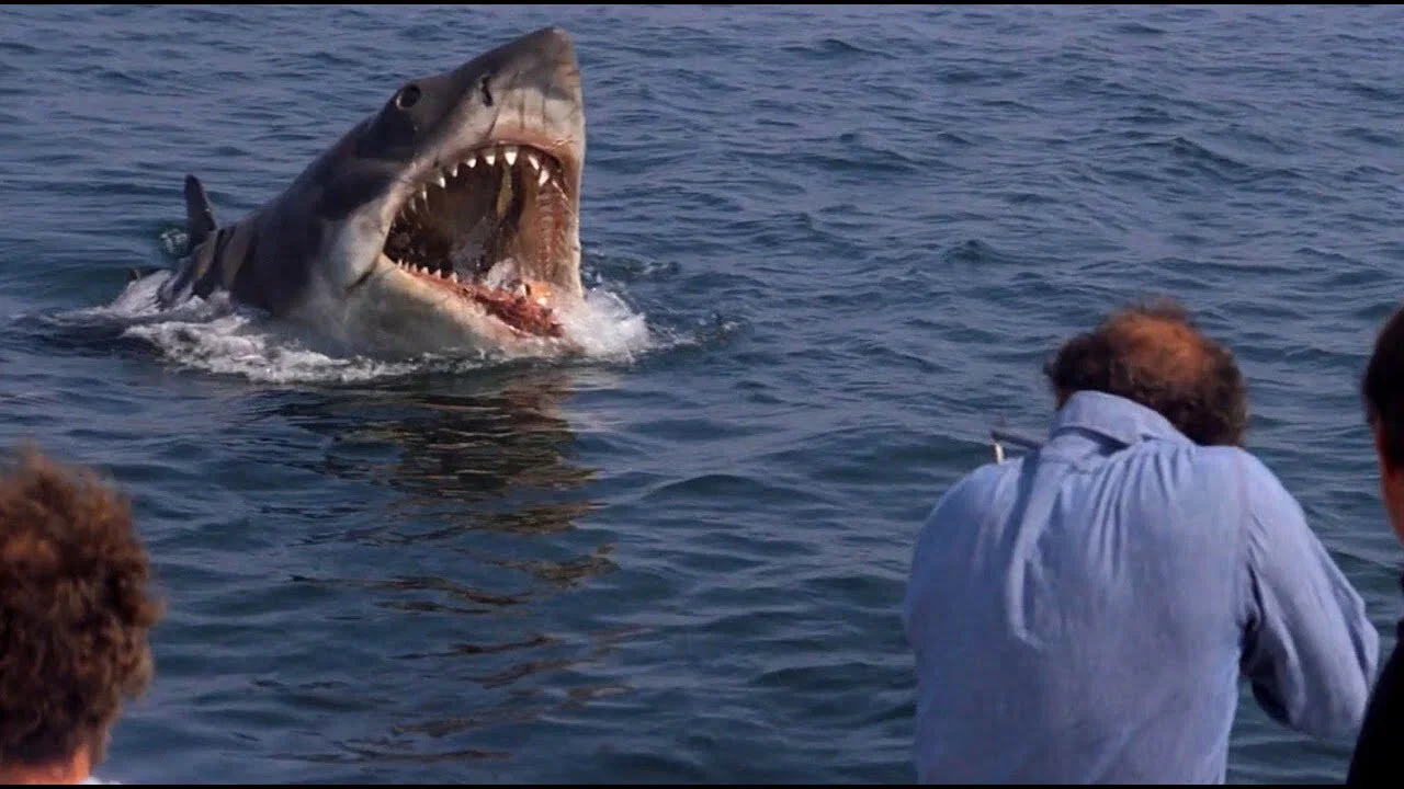 Open ocean off Martha's Vineyard from Jaws (1975)