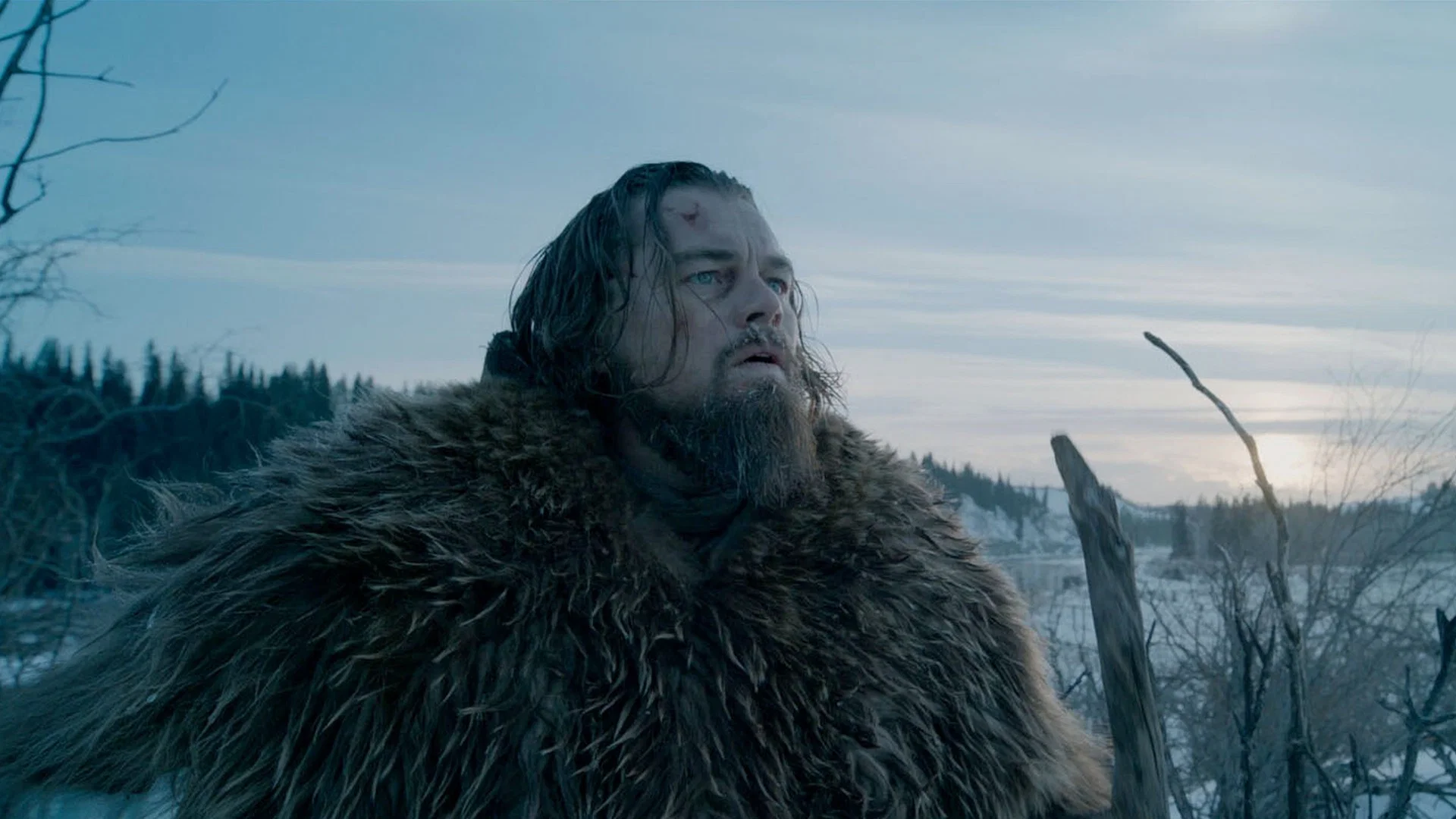 A frontier wilderness scene from The Revenant (2015)